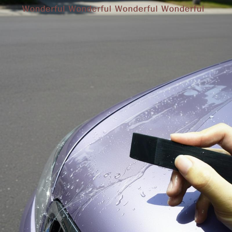 Flexible Tpu Film - TPU Car Window Tint Scraper Squeegee